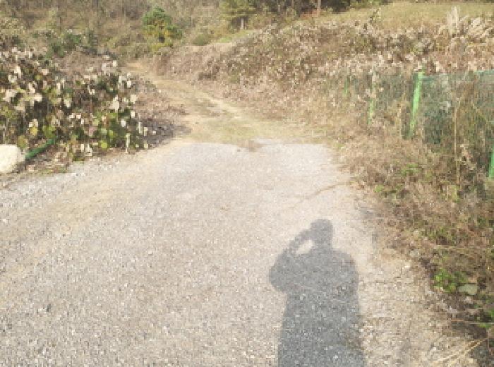 안성시 공도읍 만정리 아파트 경매 물건 사진