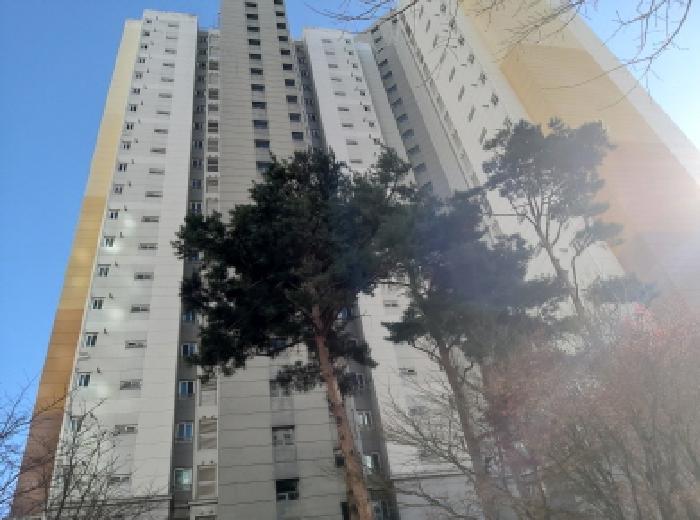 평택시 세교동 597 아파트 경매 물건 사진