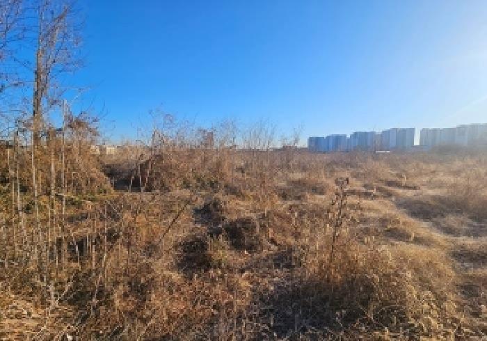 평택시 팽성읍 안정리 답 경매 물건 사진