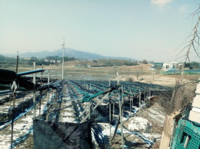 안성시 일죽면 월정리 답 경매 물건 사진