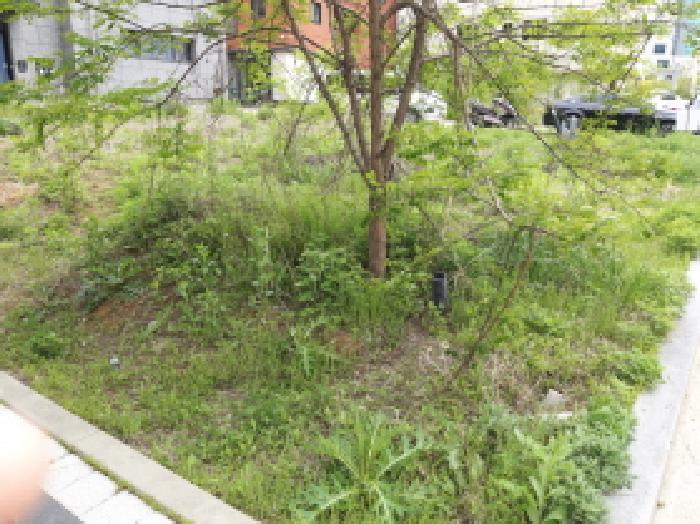 평택시 고덕동 2474-2 대지 경매 물건 사진