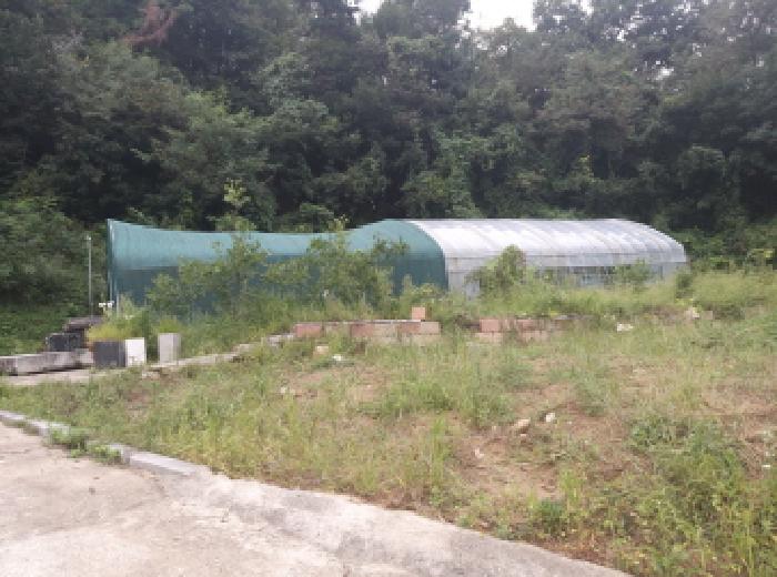 안성시 일죽면 금산리 단독주택 경매 물건 사진