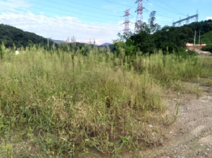 안성시 고삼면 쌍지리 전답 경매 물건 사진