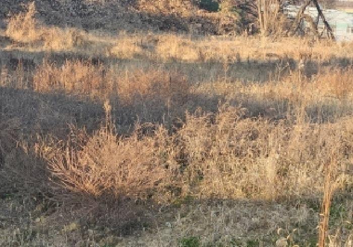평택시 오성면 양교리 전답 경매 물건 사진