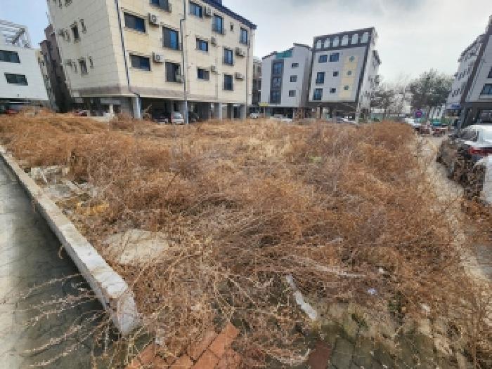 평택시 안중읍 안중리 대지 경매 물건 사진