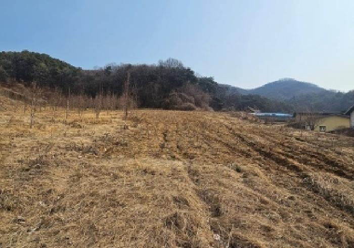 안성시 보개면 남풍리 임야 경매 물건 사진