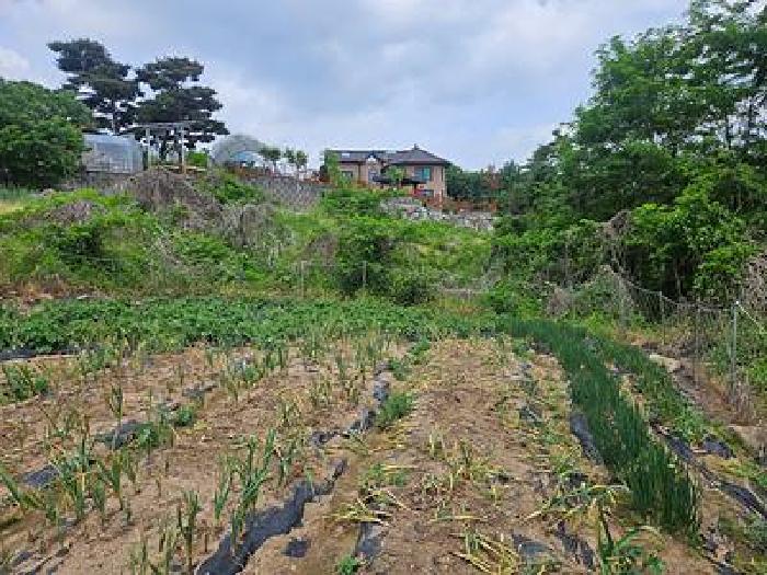 안성시 삼죽면 내강리 대지,임야,전답 경매 물건 사진