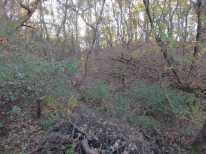 과천시 주암동 산19-23 임야 경매 물건 사진