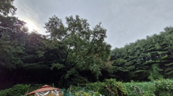 군포시 산본동 산105 임야 경매 물건 사진