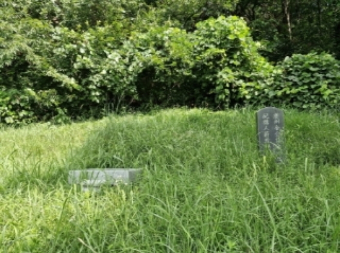 의왕시 학의동 산20 임야 경매 물건 사진