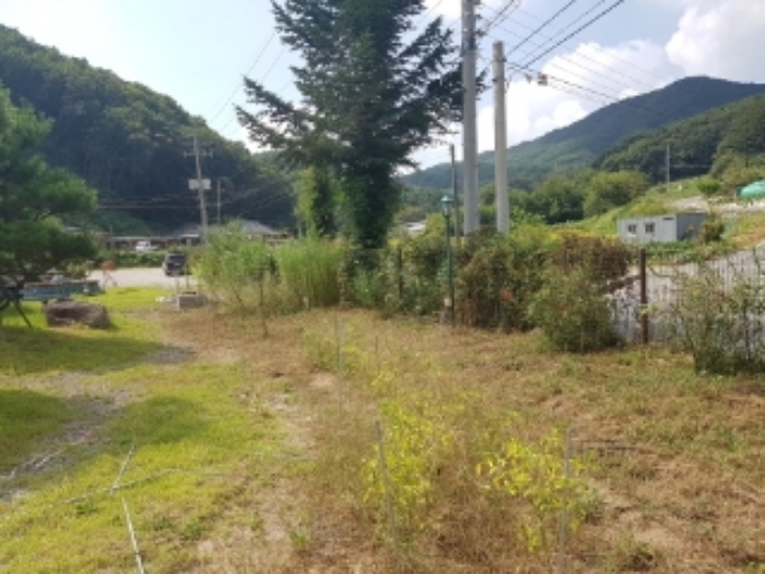 홍천군 홍천읍 삼마치리 근린생활시설 경매 물건 사진