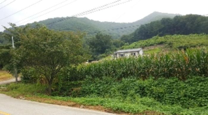 화천군 상서면 봉오리 임야 경매 물건 사진