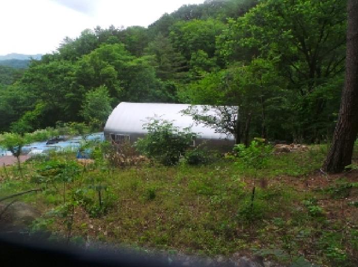 화천군 화천읍 동촌리 임야 경매 물건 사진
