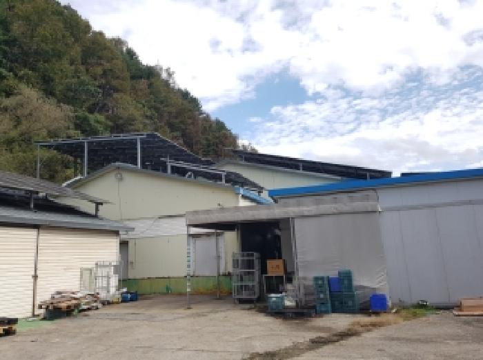 춘천시 동산면 봉명리 공장/지식산업센터 경매 물건 사진