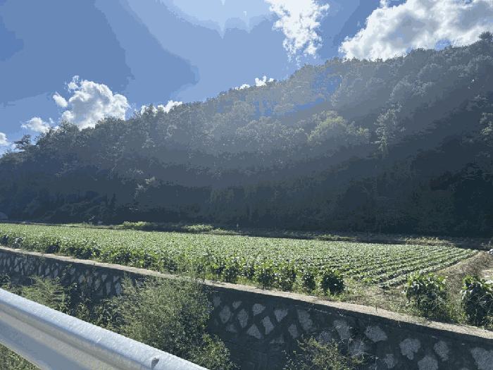춘천시 서면 신매리 답 경매 물건 사진