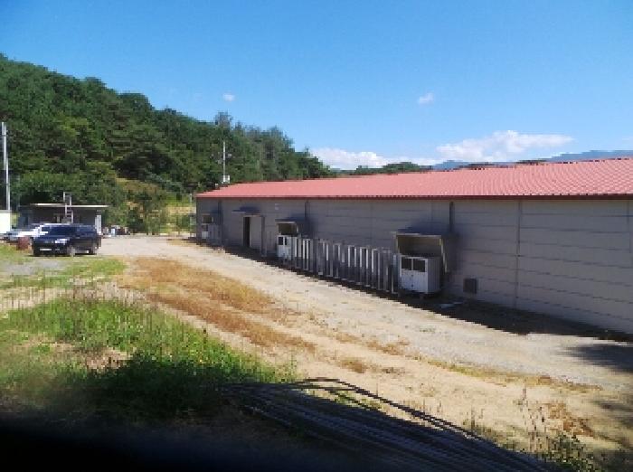 양구군 동면 덕곡리 근린시설 경매 물건 사진
