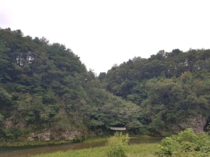 홍천군 서면 중방대리 임야 경매 물건 사진