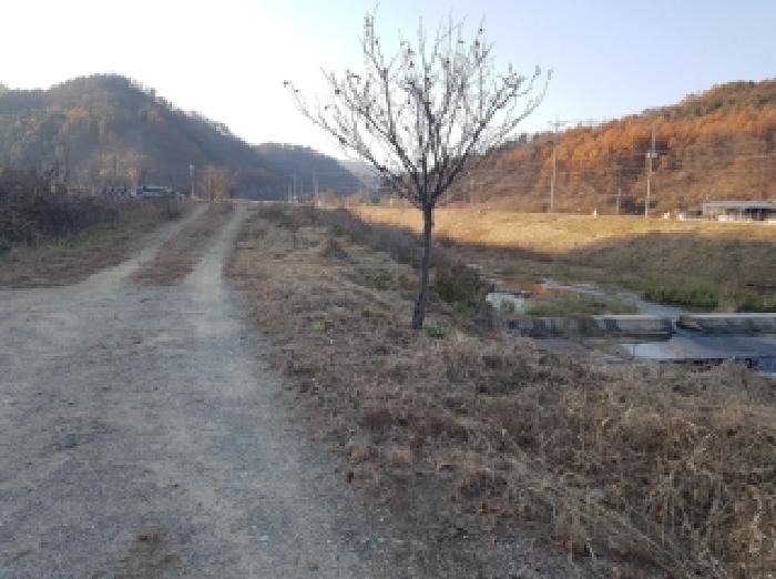 홍천군 북방면 역전평리 답 경매 물건 사진