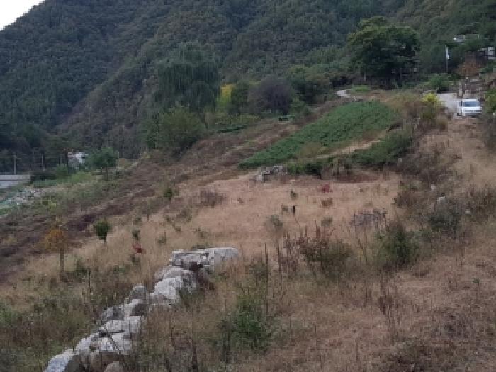 인제군 상남면 미산리 단독주택 경매 물건 사진