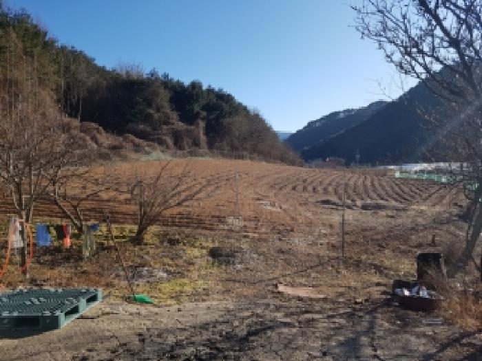 홍천군 서석면 청량리 전 경매 물건 사진