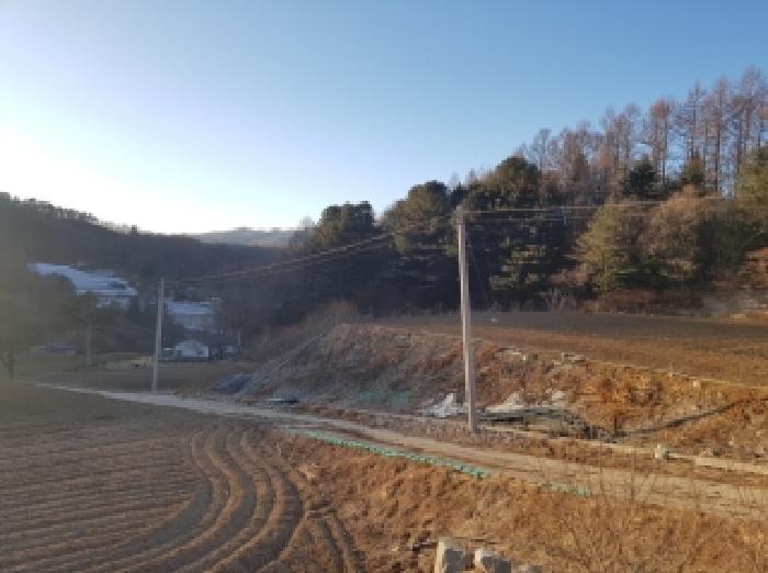 홍천군 내면 자운리 임야 경매 물건 사진