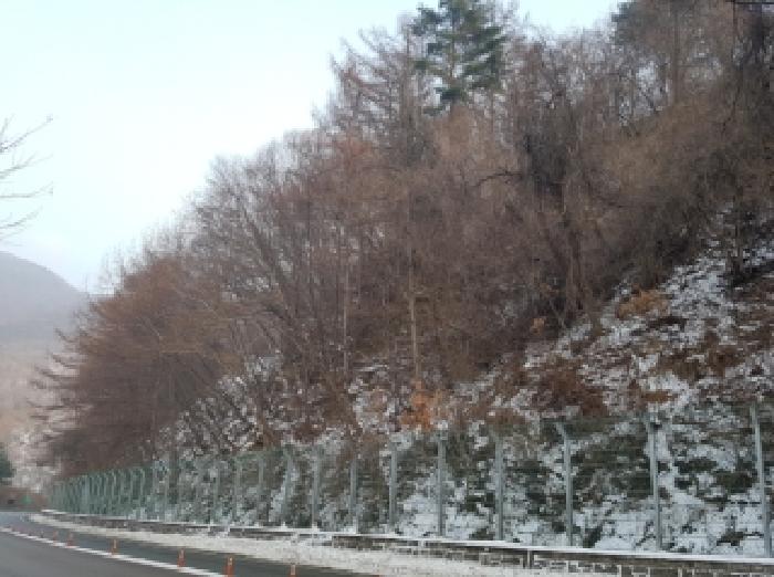 홍천군 북방면 원소리 임야 경매 물건 사진