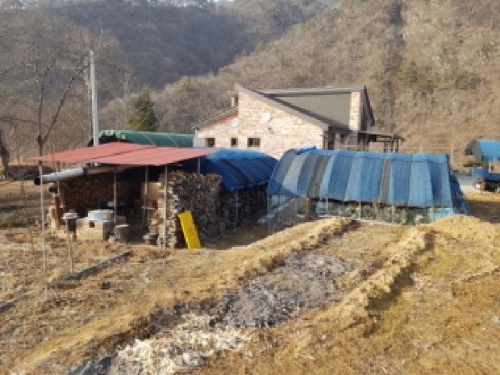 홍천군 남면 남노일리 전답 경매 물건 사진