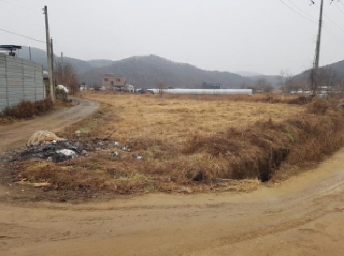 춘천시 남산면 광판리 답 경매 물건 사진