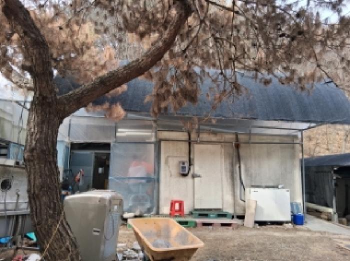 춘천시 남산면 광판리 근린시설 경매 물건 사진