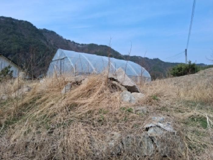 인제군 기린면 현리 전답 경매 물건 사진