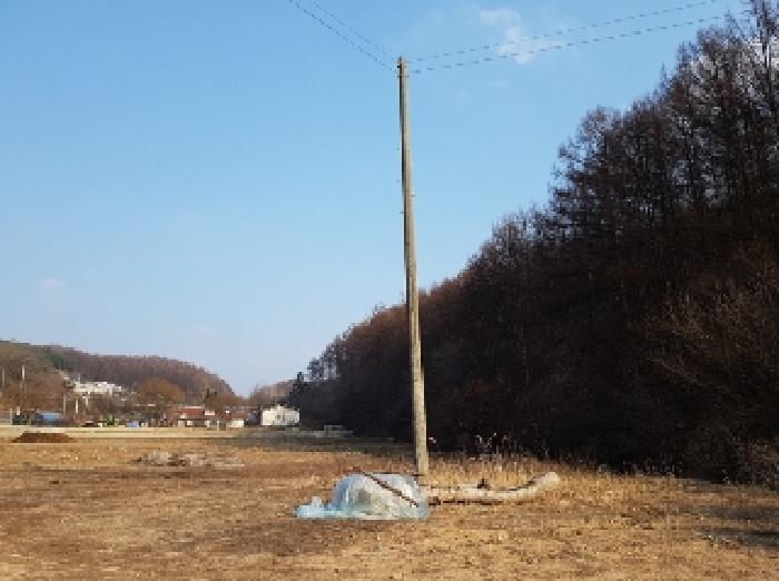 홍천군 화촌면 군업리 답 경매 물건 사진