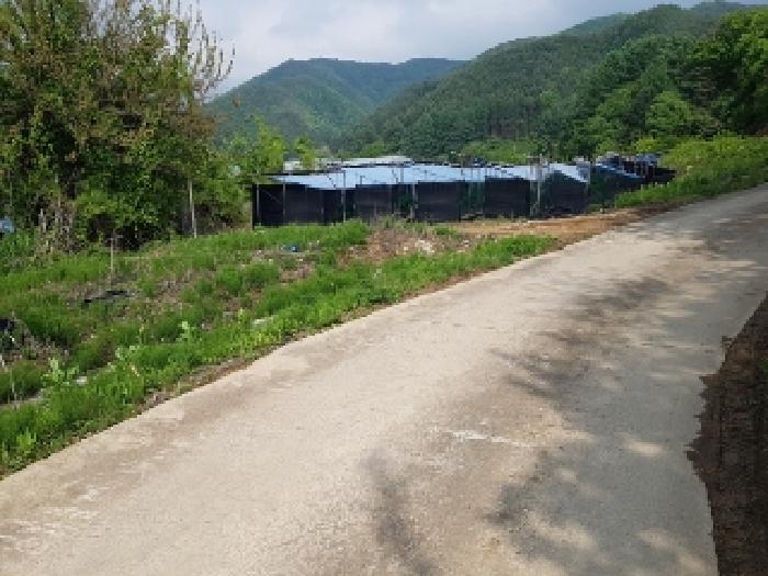 홍천군 두촌면 자은리 전 경매 물건 사진