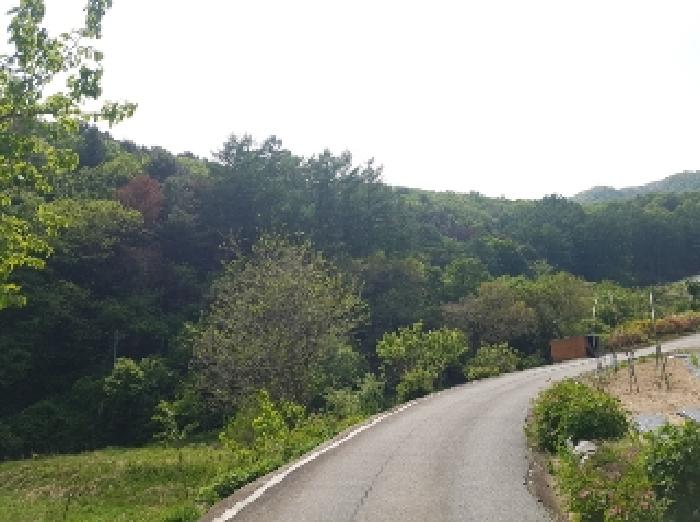 춘천시 남산면 창촌리 임야 경매 물건 사진