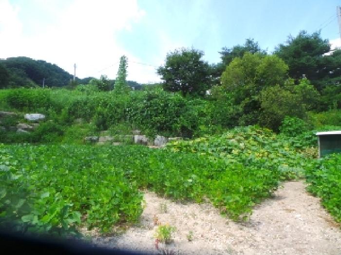 화천군 사내면 사창리 창고시설 경매 물건 사진