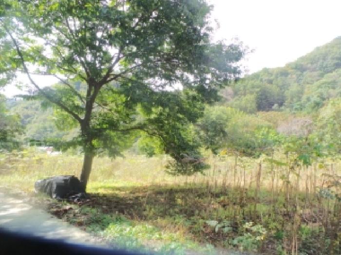 화천군 화천읍 아리 전 경매 물건 사진