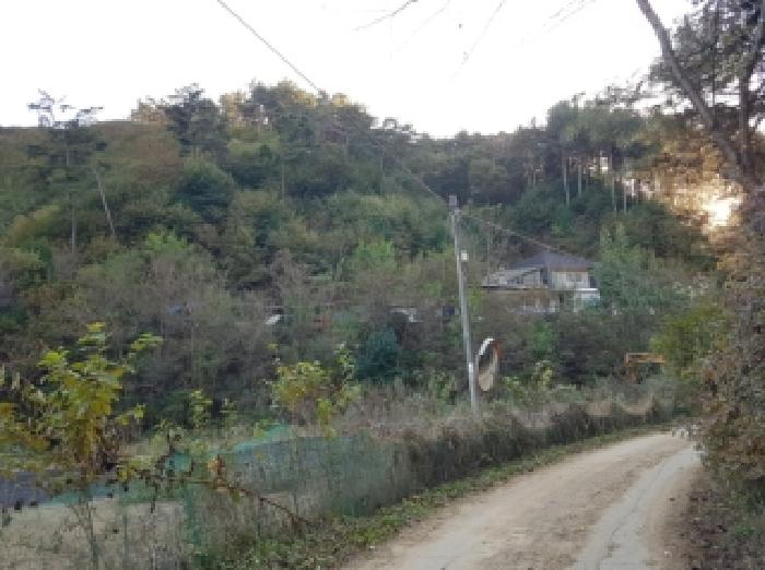 홍천군 남면 화전리 전 경매 물건 사진