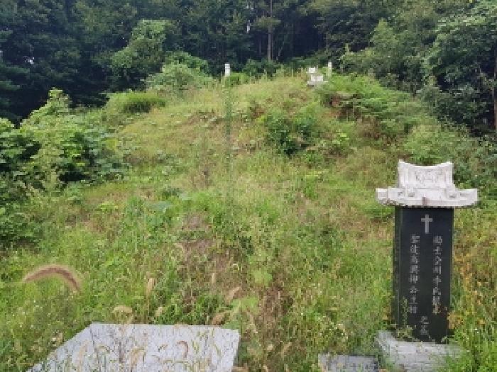 춘천시 남산면 방곡리 임야 경매 물건 사진