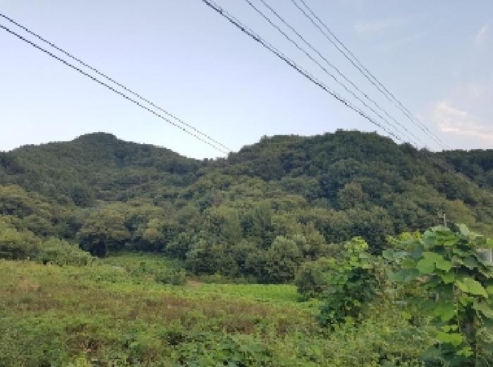 홍천군 남면 양덕원리 임야 경매 물건 사진