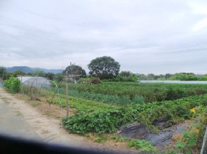 춘천시 서면 금산리 전 경매 물건 사진