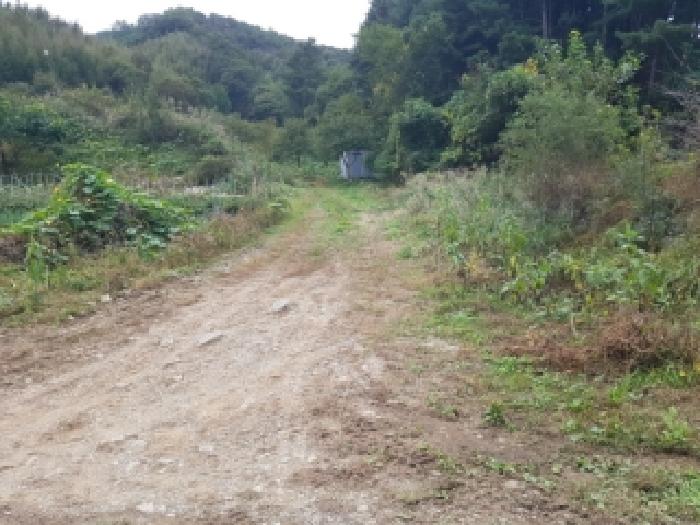 춘천시 동산면 조양리 대지 경매 물건 사진