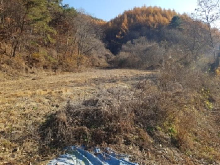 홍천군 영귀미면 속초리 전 경매 물건 사진
