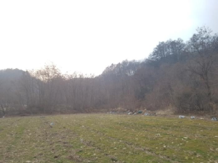 홍천군 두촌면 괘석리 전답 경매 물건 사진