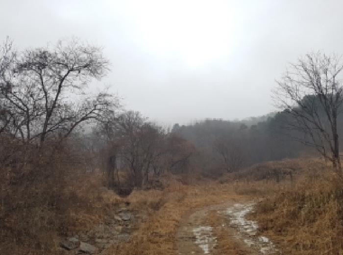 춘천시 신동면 의암리 임야 경매 물건 사진
