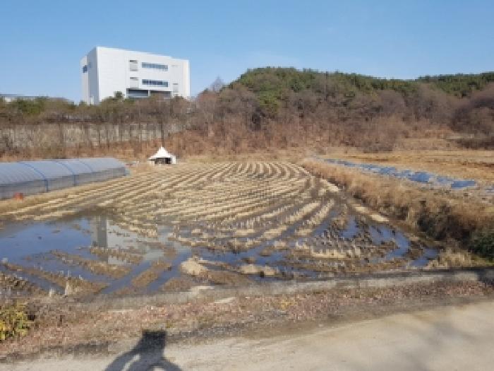 춘천시 동내면 거두리 답 경매 물건 사진