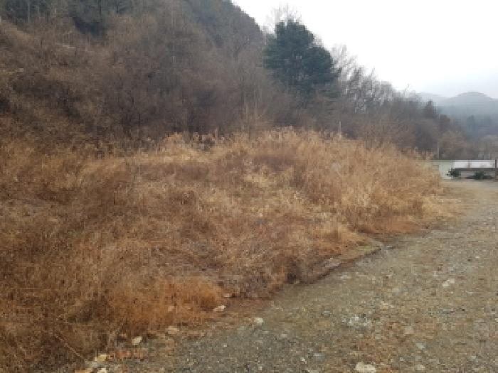 춘천시 남면 관천리 답 경매 물건 사진