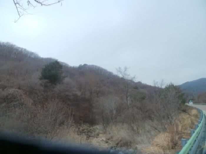화천군 상서면 다목리 임야 경매 물건 사진