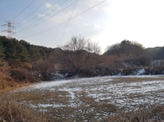 홍천군 남면 신대리 대지,임야,전답 경매 물건 사진