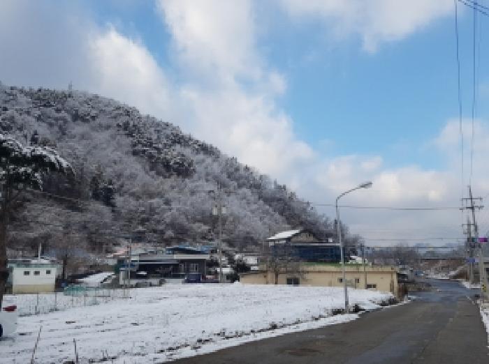홍천군 홍천읍 하오안리 임야 경매 물건 사진