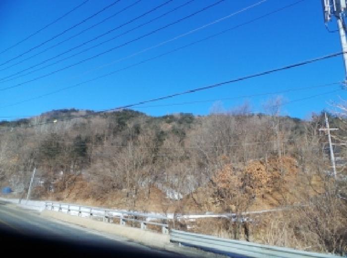 양구군 동면 팔랑리 잡종지 경매 물건 사진