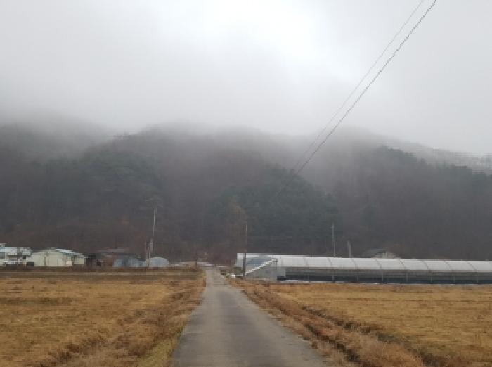 홍천군 남면 명동리 임야 경매 물건 사진